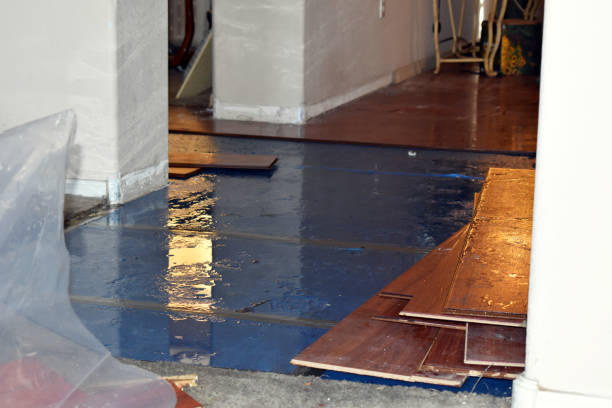 Professional Burst Pipe Water Damage technician working in East Baldwin, ME